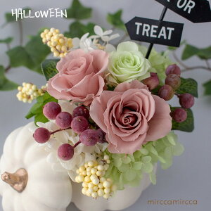 nEB vU[uht[ [ sNyt[AW t[Mtg nEBMtg t[AWg P[X a ̓ v[g j Vzj z