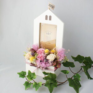 ̓ vU[uht[ tHgt[ Mtg P[X t[ t[Mtg vU[uht[Mtg ʐ^ t[ a ̓ v[g j Vzj z