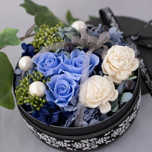 ސE ސE Əj w ̓ vU[uht[ {bNXt[ u[ ސEj Mtg t[Mtg t[{bNX {bNXMtg i GKg a ̓v[