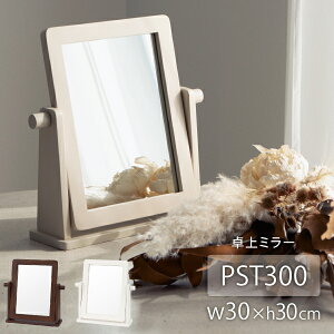 ~[ 30cm s9cm 30cm PST-300 px  ؐ u fXN~[   킢 ϋ CN X^h ~[ k ؐ uE zCg j v[g 