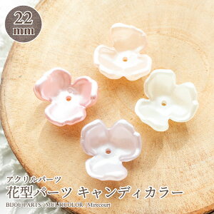 y|Cgx10zANԃp[c 20 rW[/hJ/WG[/W//lC/ANZT[p[c//p[/ޗ/nhCh/|/f/fR/W/p[c