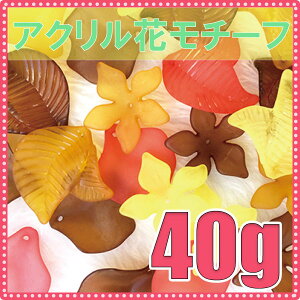 ANԃ`[t 40g J[oG[V4F2Fioi[ŕʃy[WցIj20P03Dec16r[Y Xg[