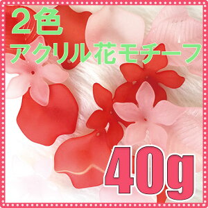 ySSΏ 50%OFFzANԃ`[t 40g J[oG[V2F20P03Dec16r[Y Xg[