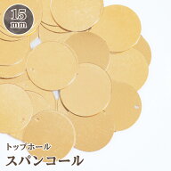 スパンコール トップホール 15mm 約3g入 刺繍 ハンドメイド アクセサリーパーツ 手芸材料