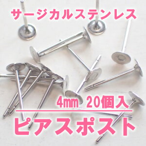 SUS304T[WJXeXsAX|Xg 4mm 20 S[h 24bL@Vo[pWE T[WJXeX sAX@24bL sAX@AM[Ή sAX@T[WJX