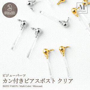 AM[Ή@ANJtsAX|Xg NAJ[ 13×5mm 5yA(10) S2F S[h Vo[ sAXp[c nhChANZT[ Vv IV | ^  