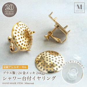 uX 24bL V[CO 20mm VRLb`t (1yA) 24kgp bLdグ COp[c CO nhCh S[h sAX | hJ