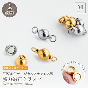 y|Cgx10zT[WJXeXSUS316L ͎ ی`NXv 6mm 8mm (1) ߋ lIW 500gΉ lbNXEuXbgp  p[ANZT[ DIYp[c AM[