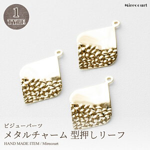 y|Cgx10z^`[ ^[t (10) rW[p[c ANZT[ p[c,nhCh,r[Y,rW[,ޗ r[Y Xg[ nhChCO `[ sAX