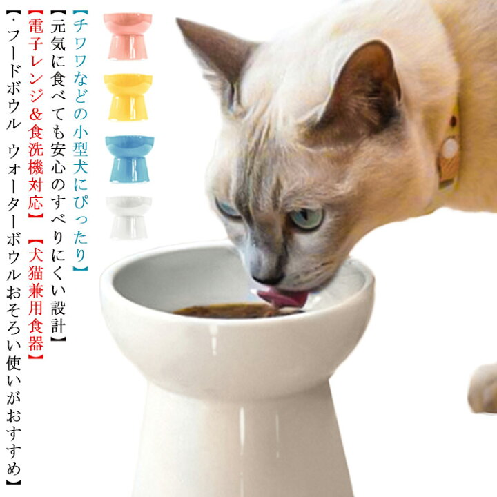 楽天市場】犬 猫食器 猫エサ入れ 猫用品 シンプル 陶器 ペット食器 フード食器 脚付 フードボウル スタンド 餌入れ 水入れ ペットボウル 水飲み ボウル ウォーターボウル エサ入れ 滑り止め ねこ 子猫 ご飯 皿 食器台 : クレアガール