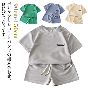 bV  bt bt LbY ^ z [EFA  j̎q w xr[  pW} t  TVc V[gpc q Vv  ĕ ĕ W