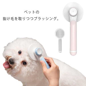 uV ybguV  L  uV vbV  suV ybg̃uV ۂ  Z ybgpi PApi т菜  ybgpi ё΍