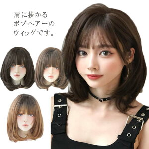 4FWJ {u tECbO fB[X  J[  R Z~O V[g ~fBA {uEBbO ×p ϔM wig RXv Vv ig  nEB 