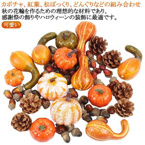 ڂ nEB ڂ u ZZbgz nEB y Zbg ǂ񂮂 gt y Bep ʐ^  nEB p[eB[ gݍ킹 O X  