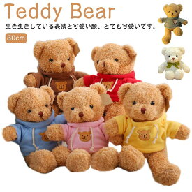 ギフトクリスマスプレゼント くま バースデー プチギフト クマ ぬいぐるみ ティディベア 女の子 クマ 3歳 ミニベアー 4歳 抱き枕 くま 5歳 6歳 子供 女の子 クマのぬいぐるみ ふわふわ くまのぬいぐるみ 子供