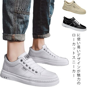 Y Xj[J[ YV[Y ^C y JWA ʋC ɂ ~ RC X|[c jO V[Y j tH~ j̎q 3F EH[LO WMOV[Y