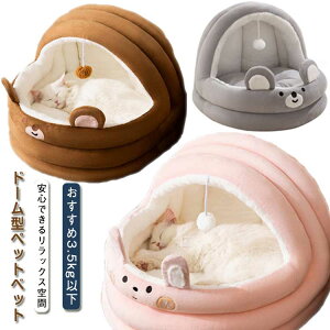  ybg ~p xbh ӂӂ L h[^ L ~p ^ ybg NbV Eh nEX \t@xbh Jh[ NbV L  xbh  {A L 