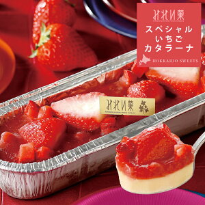 yyVLO2ʁz_kC瑡낤^Dy J^[i XyV  (320g) kC yY  XC[c  nEB yY v[g Mtg j Ԃ a 