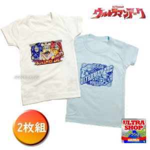 i[֑IOKjEg}A[Ni2234jtCX ێVc 2gi LbYCi[ Vcj