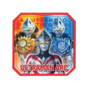 10%OFF [֑IOKiEg}A[N@A傫1iBAN136jV[AC AbvP by Eg} Egb Egq[[Y NB