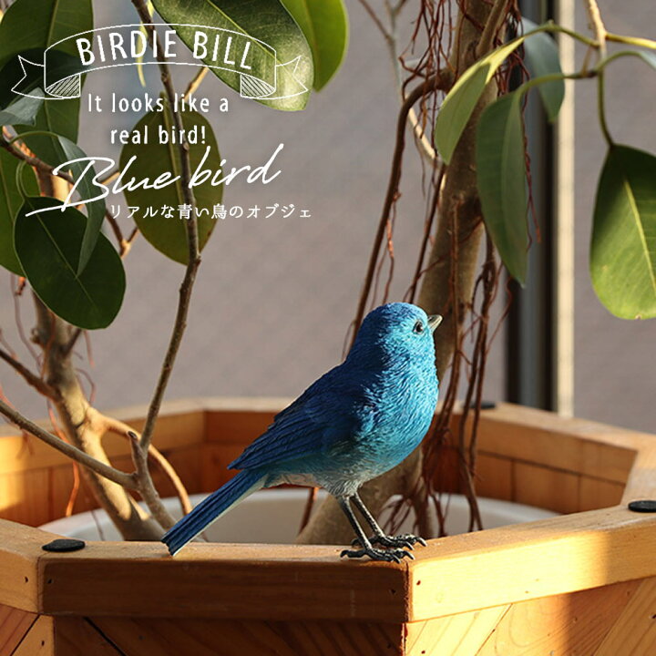 楽天市場】BIRDIE BILL 「リアルな鳥のオブジェ ブルーバード」 BLUE 