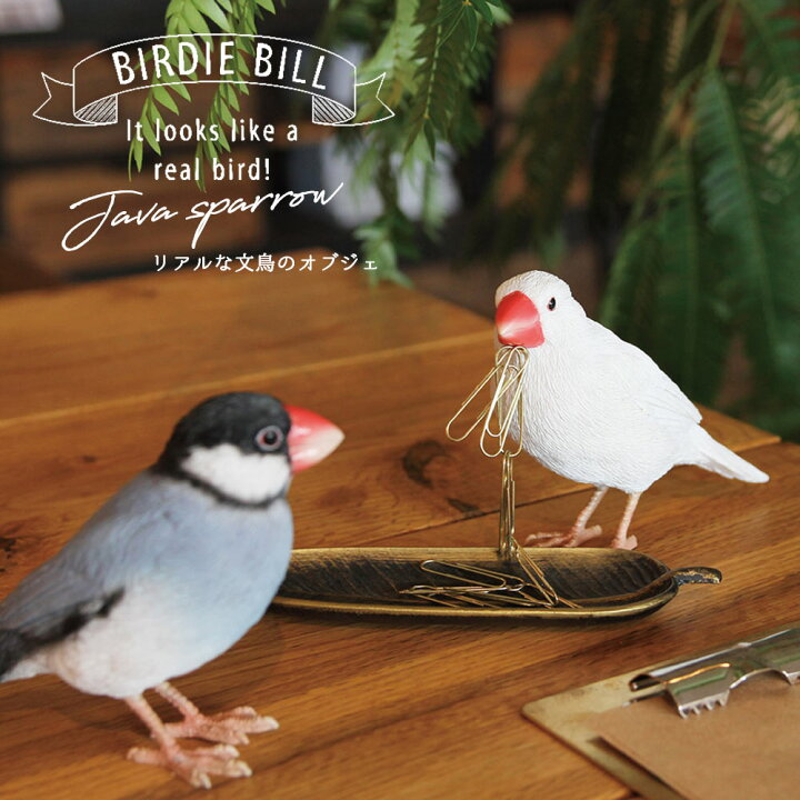 楽天市場 Birdie Bill リアルな鳥のオブジェ 文鳥 桜文鳥 白文鳥 Agate Java Sparrow White Java Sparrow バーディ ビル 鳥 マグネット 磁石 置物 動物 メッセージバード リアルアニマルズ かわいい 小鳥 Irodori