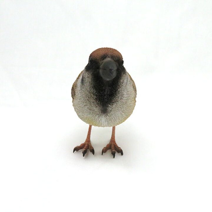 楽天市場 Birdie Bill リアルな鳥のオブジェ スズメ Sparrow バーディ ビル 鳥 雀 すずめ マグネット 磁石 置物 動物 メッセージバード リアルアニマルズ かわいい 小鳥 Irodori 楽天市場 Birdie Bill リアルな鳥のオブジェ スズメ Sparrow バーディ ビル 鳥 雀 すずめ マグネット 磁石 置物 動物 メッセージバード リアルアニマルズ かわいい 小鳥 Irodori