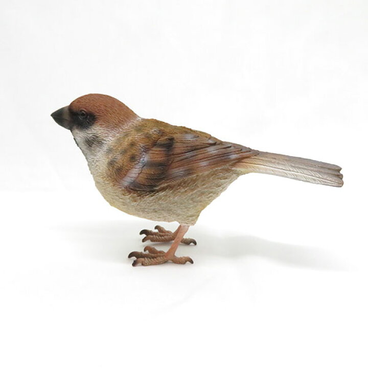 楽天市場 Birdie Bill リアルな鳥のオブジェ スズメ Sparrow バーディ ビル 鳥 雀 すずめ マグネット 磁石 置物 動物 メッセージバード リアルアニマルズ かわいい 小鳥 Irodori 楽天市場 Birdie Bill リアルな鳥のオブジェ スズメ Sparrow バーディ ビル 鳥 雀 すずめ マグネット 磁石 置物 動物 メッセージバード リアルアニマルズ かわいい 小鳥 Irodori