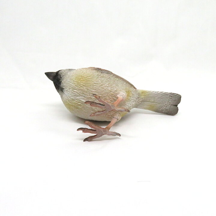 楽天市場 Birdie Bill リアルな鳥のオブジェ スズメ Sparrow バーディ ビル 鳥 雀 すずめ マグネット 磁石 置物 動物 メッセージバード リアルアニマルズ 小鳥 Irodori