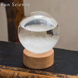 Fun Science 「ストームグラス ドーム」 気象計 気象予報計 天気管 天候予測器 結晶 オブジェ ファンサイエンス