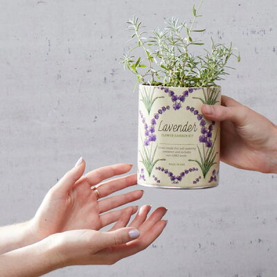楽天市場 Modern Sproutモダンスプラウト Waxed Planter ラベンダー 屋内栽培キット植物 インテリア家庭菜園 ガーデニングキッチンガーデン Irodori