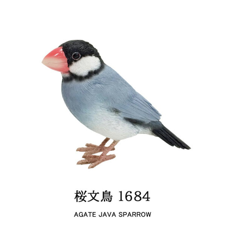 楽天市場 Birdie Bill リアルな鳥のオブジェ 文鳥 桜文鳥 白文鳥 Agate Java Sparrow White Java Sparrow バーディ ビル 鳥 マグネット 磁石 置物 動物 メッセージバード リアルアニマルズ 小鳥 Ilo Irodori