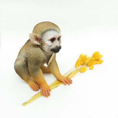 楽天市場 リアルな動物の貯金箱pet Bank ペットバンクコモンリスザル Common Squirrelmonkey猿 サルアニマル コインバンク Irodori 楽天市場 リアルな動物の貯金箱pet Bank ペットバンクコモンリスザル Common Squirrelmonkey猿 サルアニマル コインバンク Irodori