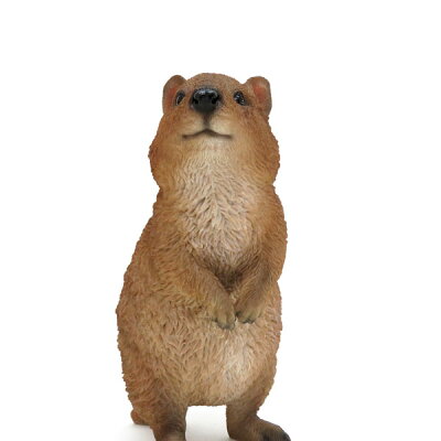 楽天市場 Sale10 Offリアルな動物の貯金箱pet Bank ペットバンク クアッカ Quokkaアニマル コインバンク 5 7 10 00 Irodori