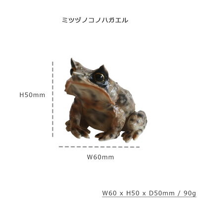 楽天市場 Reptiles Magレプティルス マグ カエルのマグネット トマトガエルミツヅノコノハガエルイシカワガエルtomato Frogmegophrys Masutaishikawa S Frogクリップ置き Irodori