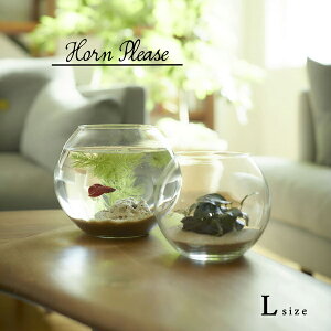 Mtg v[g ԕr Horn Please MADE u [YKX h[v[p LTCY v t[x[X Ԋ KX CeA i` eE ANAE   킢 