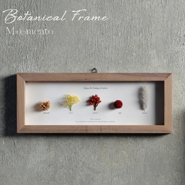 楽天市場】Moemento 「BOTANICAL FRAME 04」オフホワイト 植物標本 