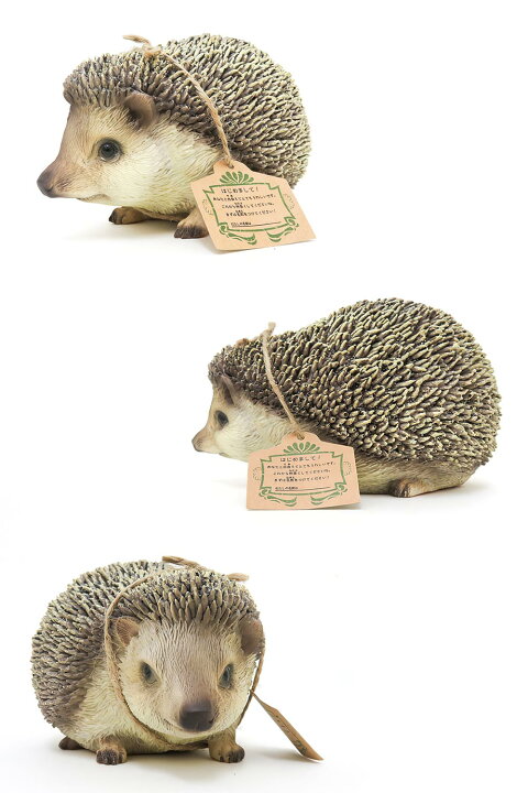 楽天市場】PET BANK 「ペットバンク ハリネズミ」 リアルな動物の貯金 