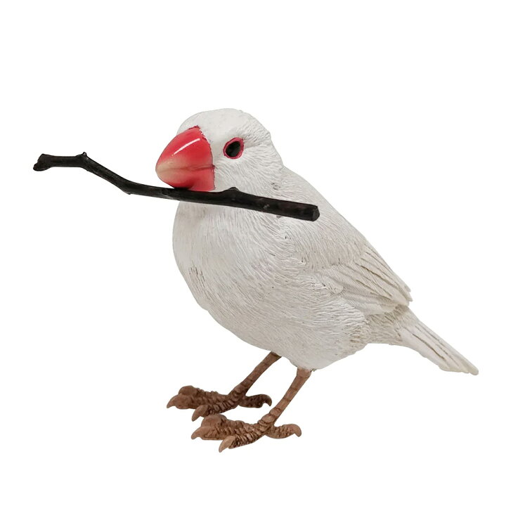 楽天市場 Birdie Bill リアルな鳥のオブジェ 文鳥 桜文鳥 白文鳥 Agate Java Sparrow White Java Sparrow バーディ ビル 鳥 マグネット 磁石 置物 動物 メッセージバード リアルアニマルズ 小鳥 Ilo Irodori
