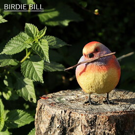 BIRDIE BILL 「リアルな鳥のオブジェ フジイロムシクイ」 WHITE-BROWED TIT バーディ ビル 鳥 マグネット 磁石 置物 オブジェ 動物 メッセージバード リアルアニマルズ 小鳥 fall3