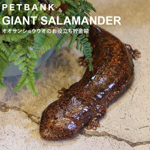 Mtg v[g  PET BANK uybgoN IITVEEIv Aȓ̒ Aj} RCoN   u tBMA 蕨 WCAg T}_[ N