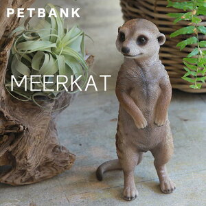 Mtg v[g  PET BANK u ybgoN ~[ALbg v Aȓ̒ MEERKAT Aj} RCoN u tBMA 蕨 NX}X Ε Ε  bsO
