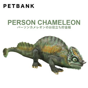 yő200~OFFN[|z Mtg v[g  PET BANK u ybgoN p[\ JI v Aȓ̒ PERSON CHAMELEON Aj} RCoN ঒ u tBMA 