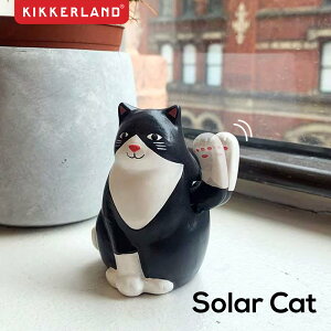 Mtg v[g KIKKERLAND u\[[Lbgv L̃\[[l` Solar Cat L lR ˂ LbJ[h u IuWF  n` NX}X Ε Ε bsO 