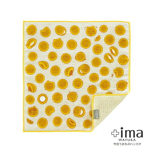 Mtg v[g nJ` u ܂̃nJ` {ima v 3WJ ^I 24cm K[[ I[KjbNRbg ˂ lR L ǂ₫ ǂĂ Aj}  蕨 1000~ { b