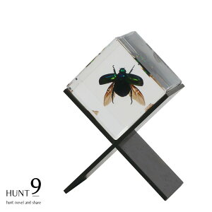 y|Cg5{z yz ybsOz Mtg v[g HUNT9 u W{ Casimir v  T\ NK^ n` XYo` NX^L[u ̓I L`E RKlV L