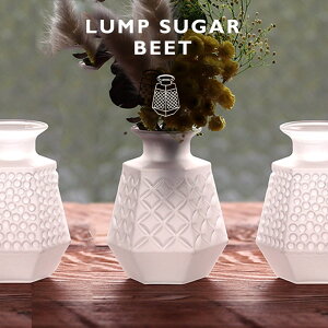 y|Cg5{z magnetuLUMP SUGAR BEET p̂悤ȃt[x[Xv DIAMOND/LINE/DOT ԕr Ԋ ֑} KX tXgKX KX