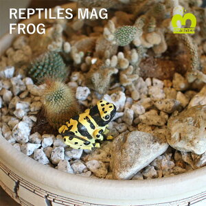 yAEgbgz REPTILES MAG uJG̃}Olbgv RoghNKG/C`ShNKG/LIrhNKG/A}KG AȐ̑`}Olbg Nbvu Nbvz
