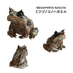 Mtg v[g REPTILES MAG uJG̃}Olbgv g}gKG/~cdmRmnKG/CVJKG AȐ̑`}Olbg Nbvu Nbvz_[ ঒  