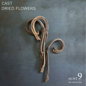 yz X[p[SALEz Mtg v[g hCt[ CeA HUNT9 u Casto hC t[ v u  傫  rO  } } CeA  ϗtA NX}X 